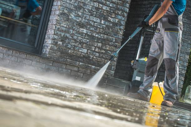 Best Gutter Cleaning  in Shady Hollow, TX