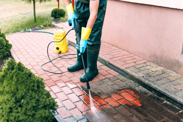 Best Sidewalk and Walkway Cleaning  in Shady Hollow, TX