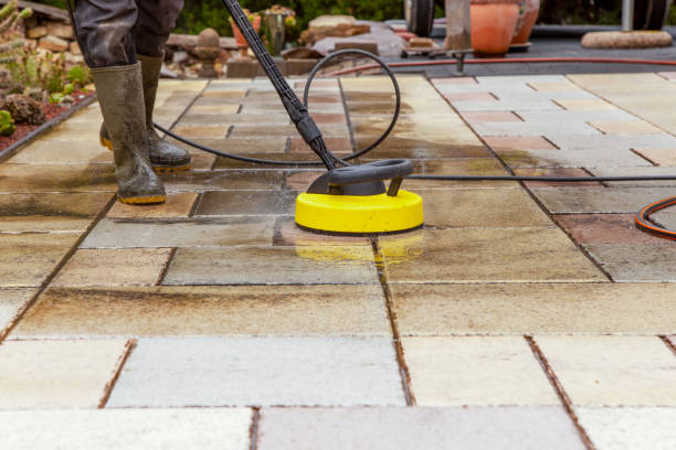 Best Roof Washing  in Shady Hollow, TX